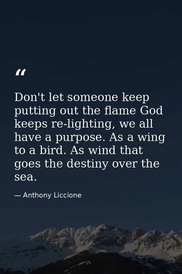 Don't let someone keep putting out the flame God keeps re-lighting, we all have a purpose. As a wing to a bird. As wind  — Anthony Liccione