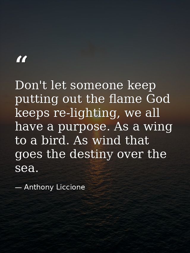 Don't let someone keep putting out the flame God keeps re-lighting, we all have a purpose. As a wing to a bird. As wind  — Anthony Liccione