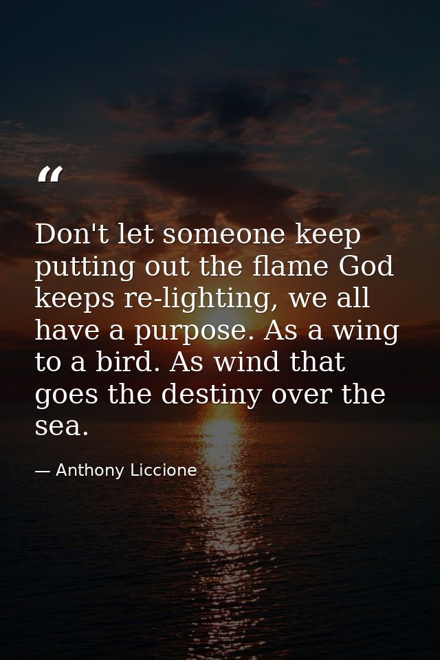 Don't let someone keep putting out the flame God keeps re-lighting, we all have a purpose. As a wing to a bird. As wind  — Anthony Liccione