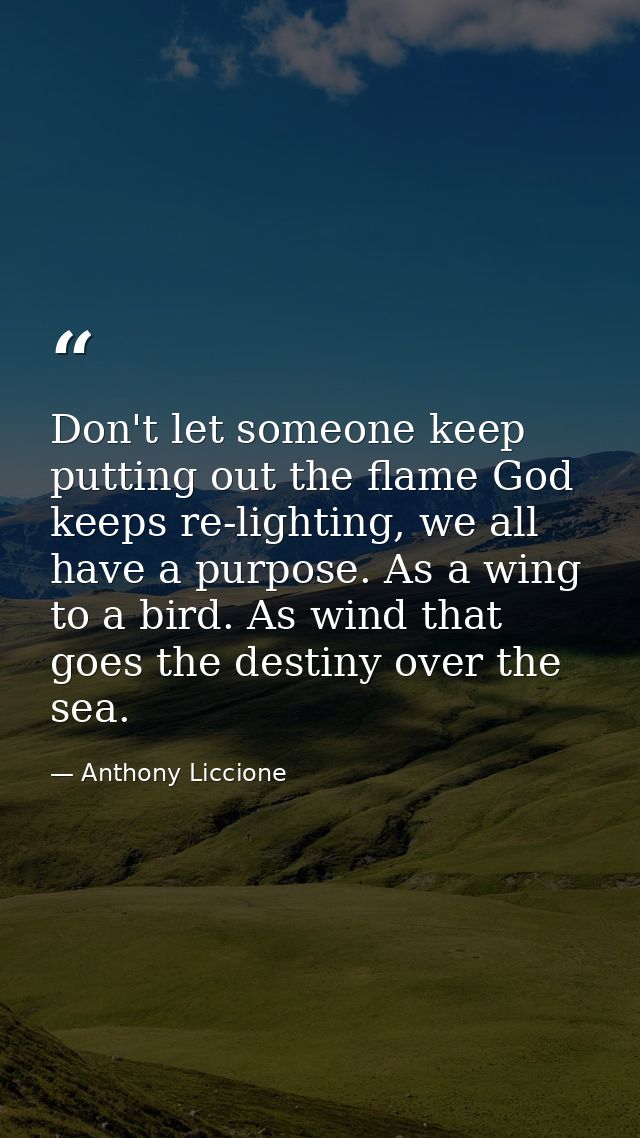 Don't let someone keep putting out the flame God keeps re-lighting, we all have a purpose. As a wing to a bird. As wind  — Anthony Liccione