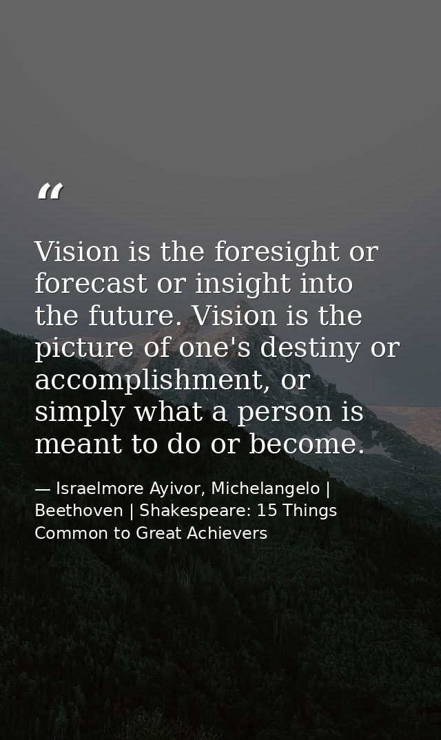 Vision is the foresight or forecast or insight into the future. Vision is the picture of one's destiny or accomplishment — Israelmore Ayivor, Michelangelo | Beethoven | Shakespeare: 15 Things Common to Great Achievers