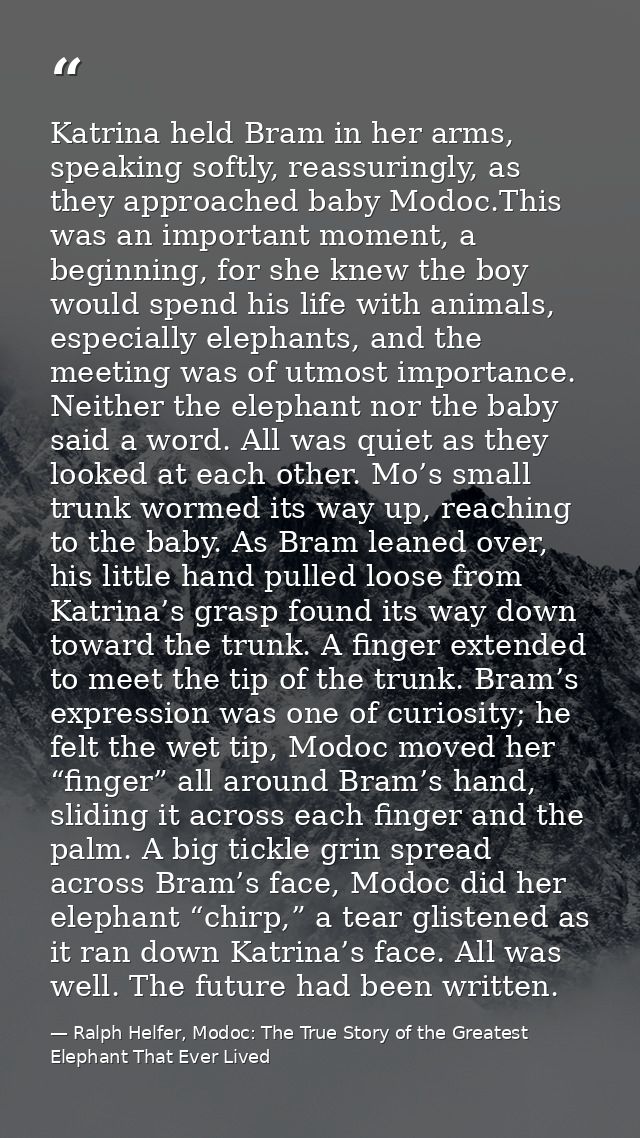Katrina held Bram in her arms, speaking softly, reassuringly, as they approached baby Modoc.This was an important moment — Ralph Helfer, Modoc: The True Story of the Greatest Elephant That Ever Lived