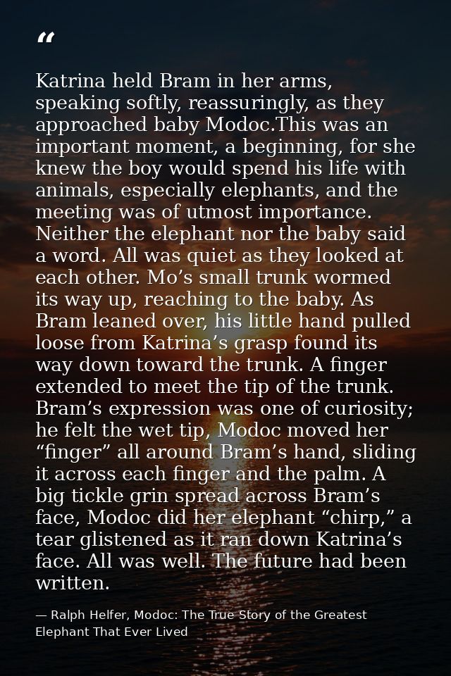 Katrina held Bram in her arms, speaking softly, reassuringly, as they approached baby Modoc.This was an important moment — Ralph Helfer, Modoc: The True Story of the Greatest Elephant That Ever Lived