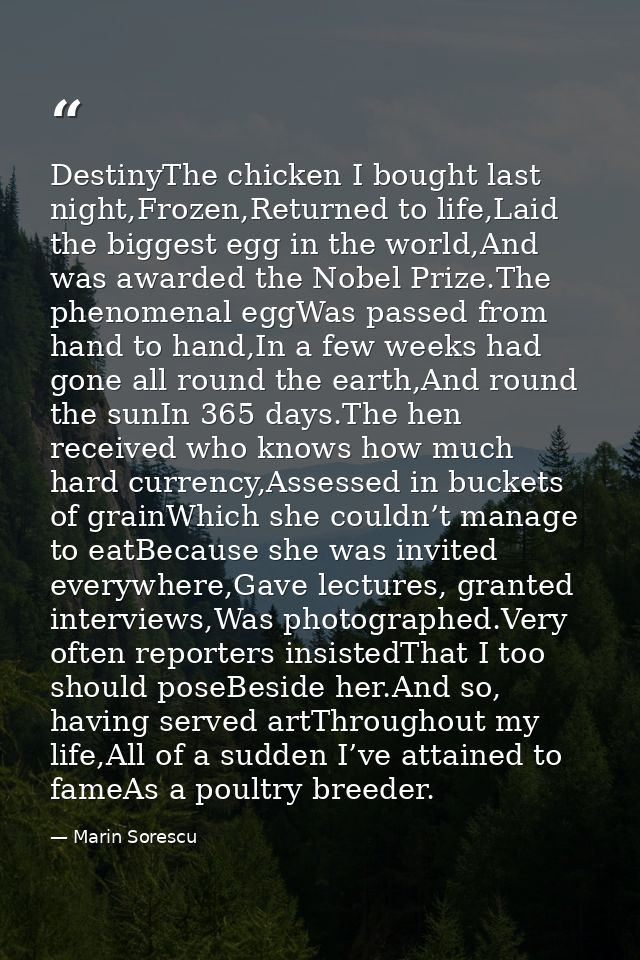 DestinyThe chicken I bought last night,Frozen,Returned to life,Laid the biggest egg in the world,And was awarded the Nob — Marin Sorescu