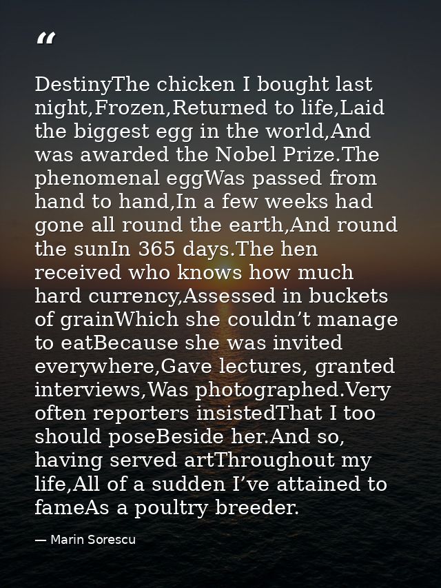 DestinyThe chicken I bought last night,Frozen,Returned to life,Laid the biggest egg in the world,And was awarded the Nob — Marin Sorescu
