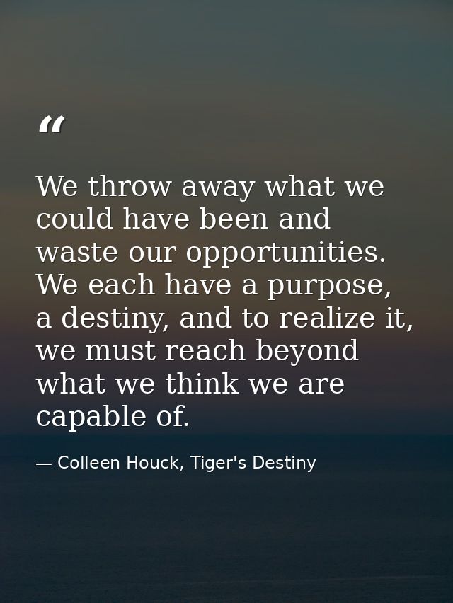 We throw away what we could have been and waste our opportunities. We each have a purpose, a destiny, and to realize it, — Colleen Houck, Tiger's Destiny