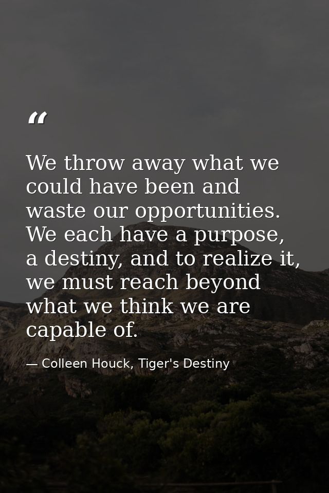 We throw away what we could have been and waste our opportunities. We each have a purpose, a destiny, and to realize it, — Colleen Houck, Tiger's Destiny