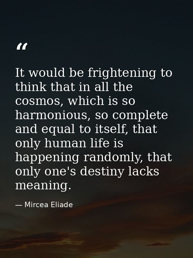 It would be frightening to think that in all the cosmos, which is so harmonious, so complete and equal to itself, that o — Mircea Eliade