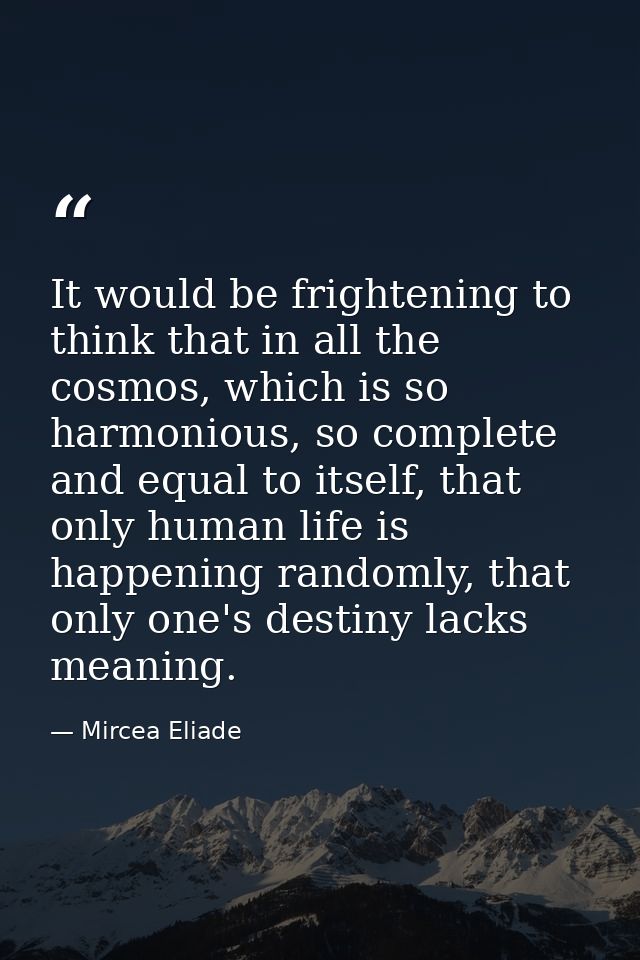 It would be frightening to think that in all the cosmos, which is so harmonious, so complete and equal to itself, that o — Mircea Eliade
