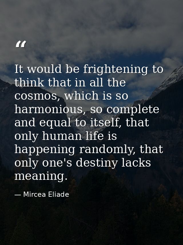It would be frightening to think that in all the cosmos, which is so harmonious, so complete and equal to itself, that o — Mircea Eliade