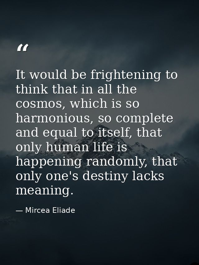It would be frightening to think that in all the cosmos, which is so harmonious, so complete and equal to itself, that o — Mircea Eliade
