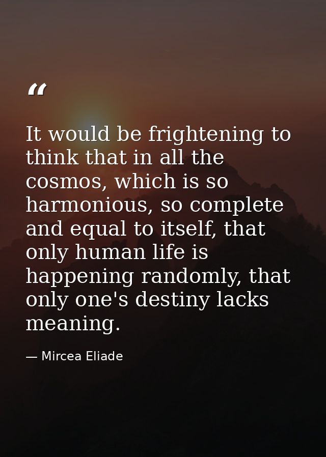 It would be frightening to think that in all the cosmos, which is so harmonious, so complete and equal to itself, that o — Mircea Eliade