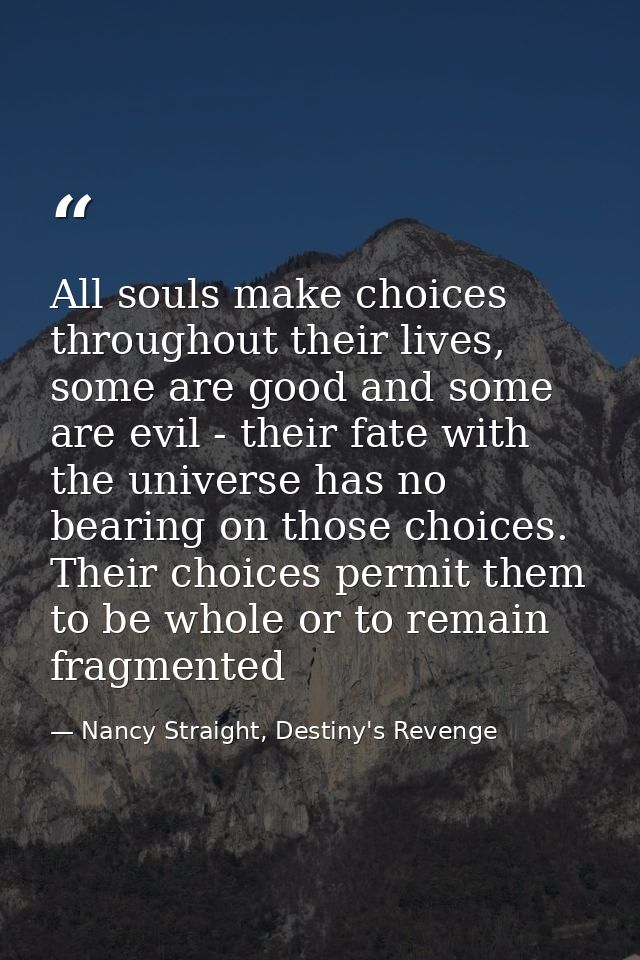 All souls make choices throughout their lives, some are good and some are evil - their fate with the universe has no bea — Nancy Straight, Destiny's Revenge