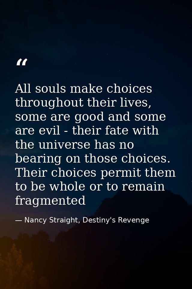 All souls make choices throughout their lives, some are good and some are evil - their fate with the universe has no bea — Nancy Straight, Destiny's Revenge
