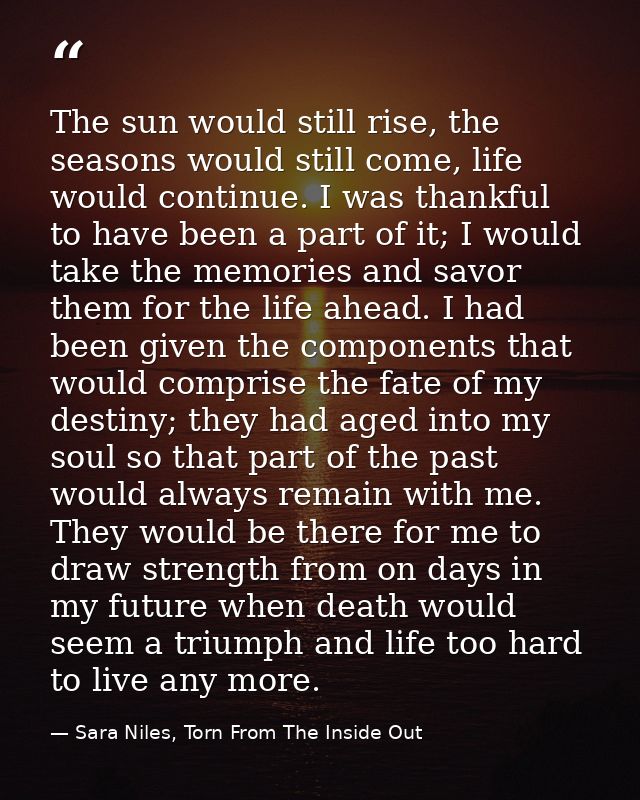 The sun would still rise, the seasons would still come, life would continue. I was thankful to have been a part of it; I — Sara Niles, Torn From The Inside Out