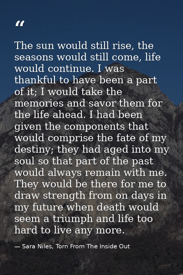 The sun would still rise, the seasons would still come, life would continue. I was thankful to have been a part of it; I — Sara Niles, Torn From The Inside Out