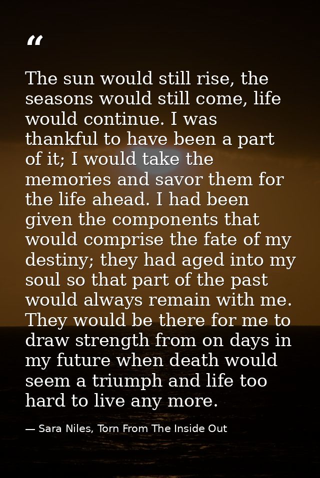 The sun would still rise, the seasons would still come, life would continue. I was thankful to have been a part of it; I — Sara Niles, Torn From The Inside Out