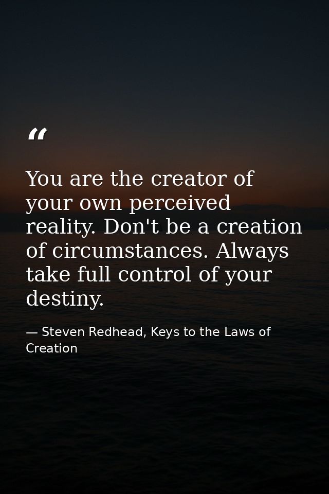 You are the creator of your own perceived reality. Don't be a creation of circumstances. Always take full control of you — Steven Redhead, Keys to the Laws of Creation