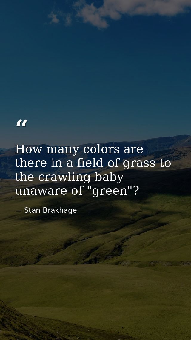 How many colors are there in a field of grass to the crawling baby unaware of "green"? — Stan Brakhage