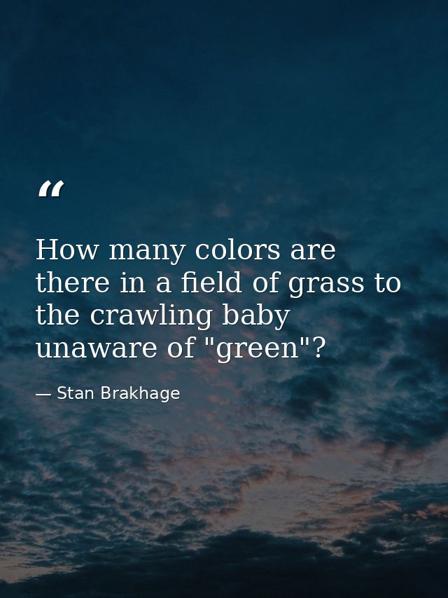 How many colors are there in a field of grass to the crawling baby unaware of "green"? — Stan Brakhage