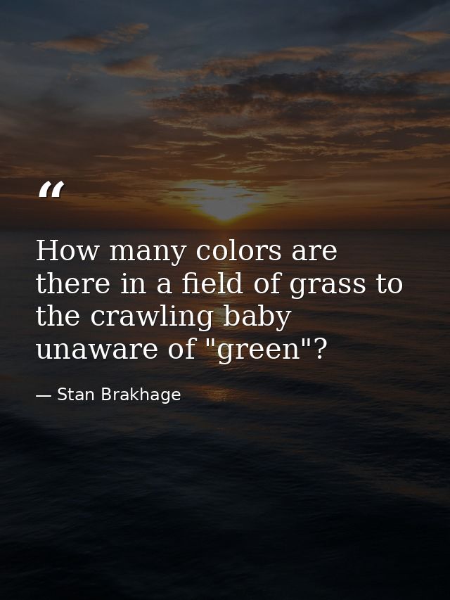 How many colors are there in a field of grass to the crawling baby unaware of "green"? — Stan Brakhage