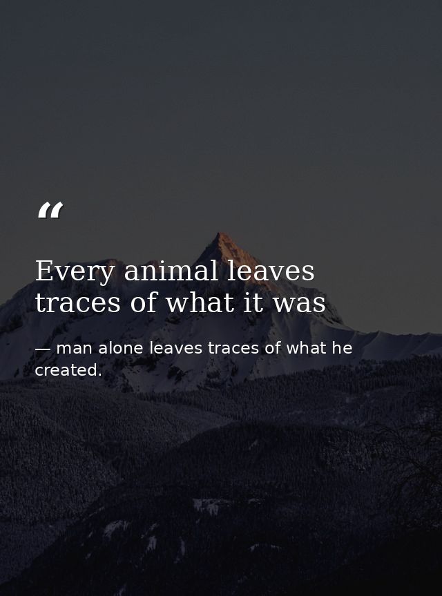 Every animal leaves traces of what it was — man alone leaves traces of what he created.