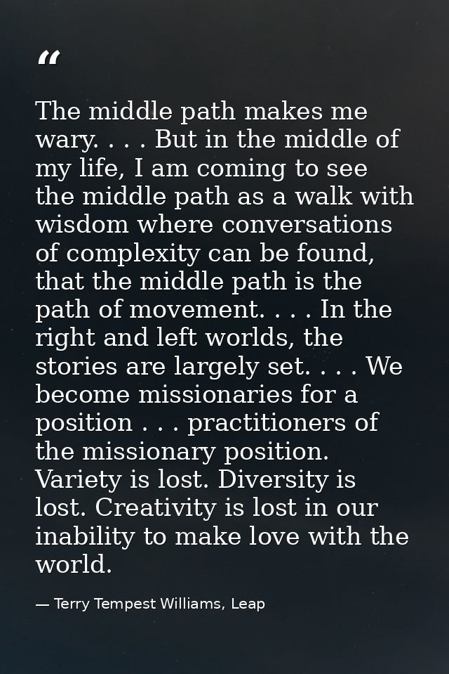 The middle path makes me wary. . . . But in the middle of my life, I am coming to see the middle path as a walk with wis — Terry Tempest Williams, Leap