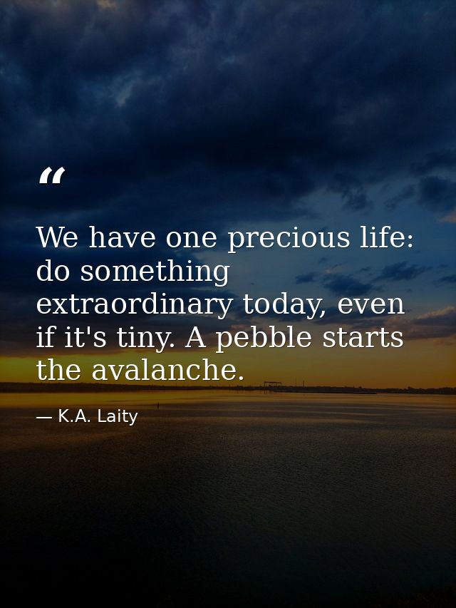 We have one precious life: do something extraordinary today, even if it's tiny. A pebble starts the avalanche. — K.A. Laity