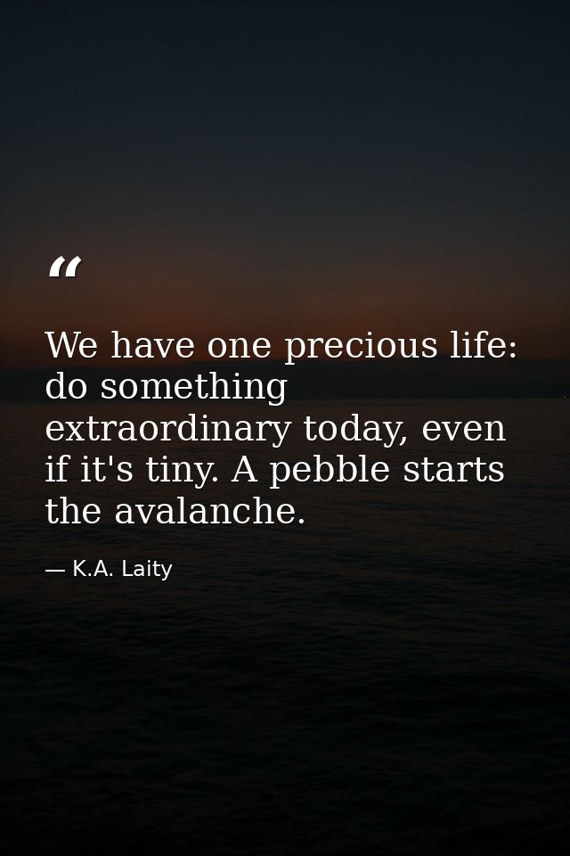 We have one precious life: do something extraordinary today, even if it's tiny. A pebble starts the avalanche. — K.A. Laity