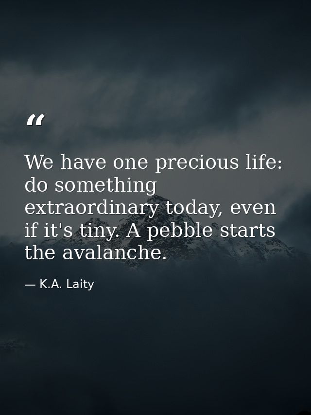 We have one precious life: do something extraordinary today, even if it's tiny. A pebble starts the avalanche. — K.A. Laity