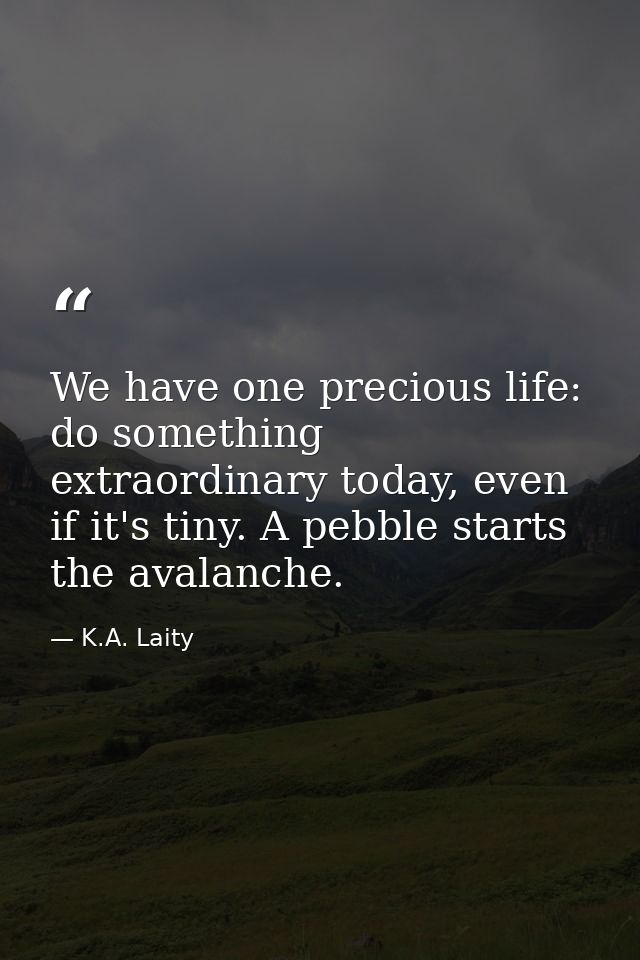 We have one precious life: do something extraordinary today, even if it's tiny. A pebble starts the avalanche. — K.A. Laity