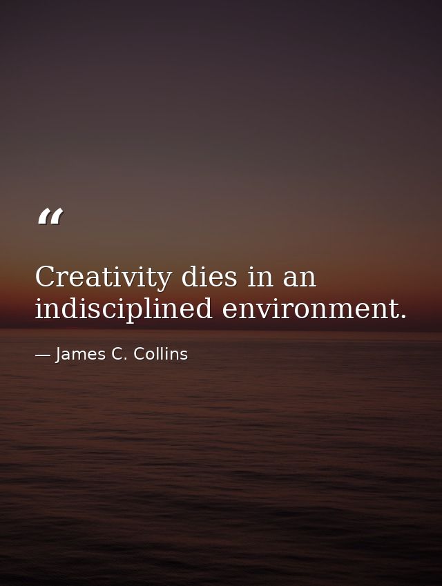 Creativity dies in an indisciplined environment. — James C. Collins