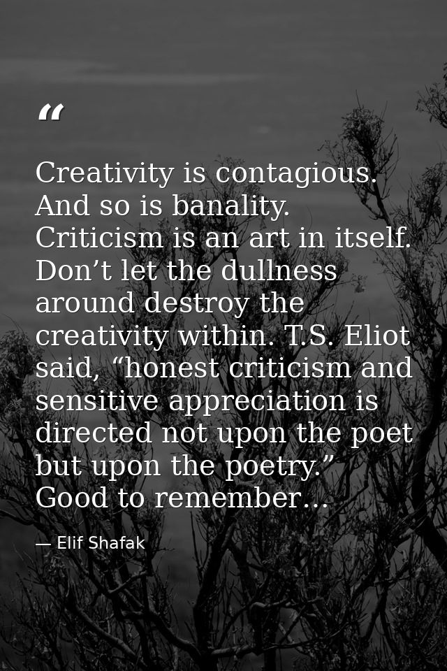 Creativity is contagious. And so is banality. Criticism is an art in itself. Don’t let the dullness around destroy the c — Elif Shafak