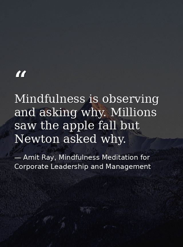 Mindfulness is observing and asking why. Millions saw the apple fall but Newton asked why. — Amit Ray, Mindfulness Meditation for Corporate Leadership and Management