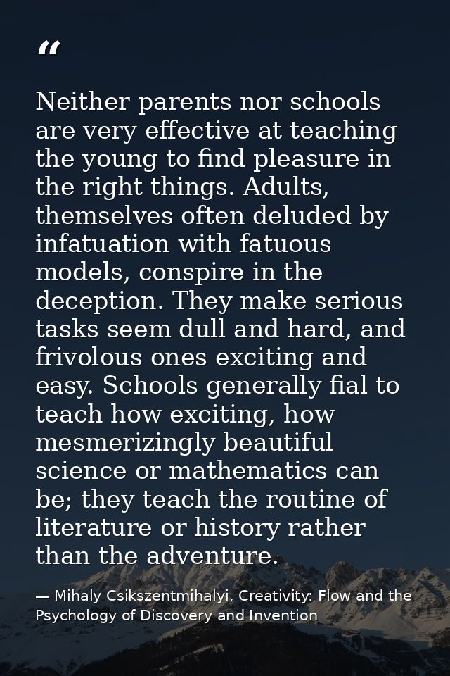 Neither parents nor schools are very effective at teaching the young to find pleasure in the right things. Adults, thems — Mihaly Csikszentmihalyi, Creativity: Flow and the Psychology of Discovery and Invention