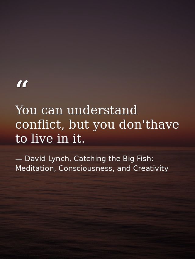 You can understand conflict, but you don'thave to live in it. — David Lynch, Catching the Big Fish: Meditation, Consciousness, and Creativity