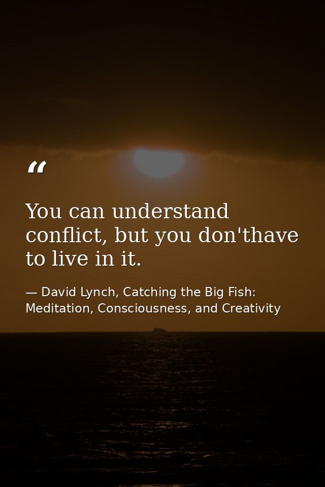 You can understand conflict, but you don'thave to live in it. — David Lynch, Catching the Big Fish: Meditation, Consciousness, and Creativity