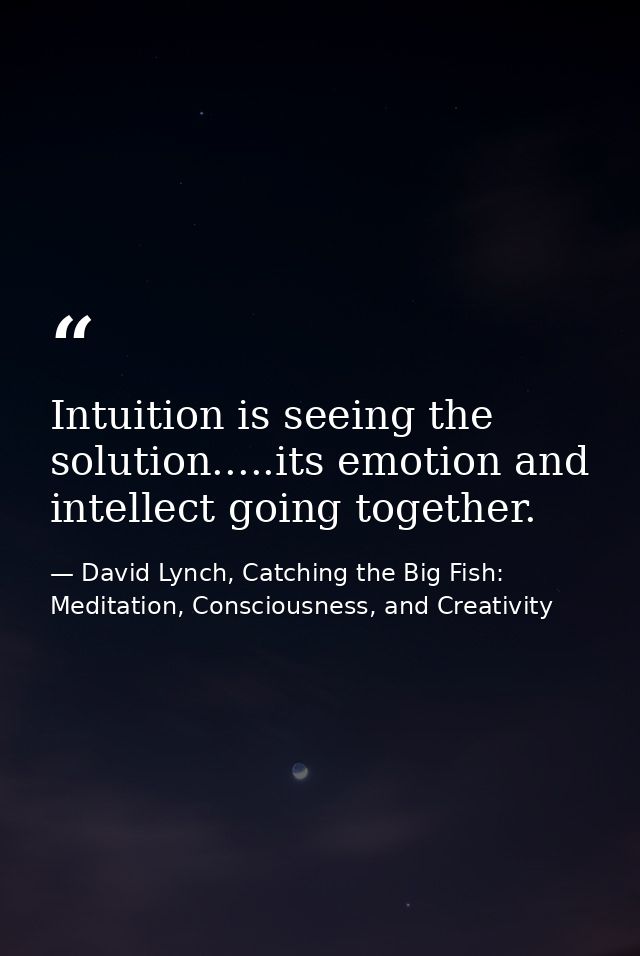 Intuition is seeing the solution.....its emotion and intellect going together. — David Lynch, Catching the Big Fish: Meditation, Consciousness, and Creativity