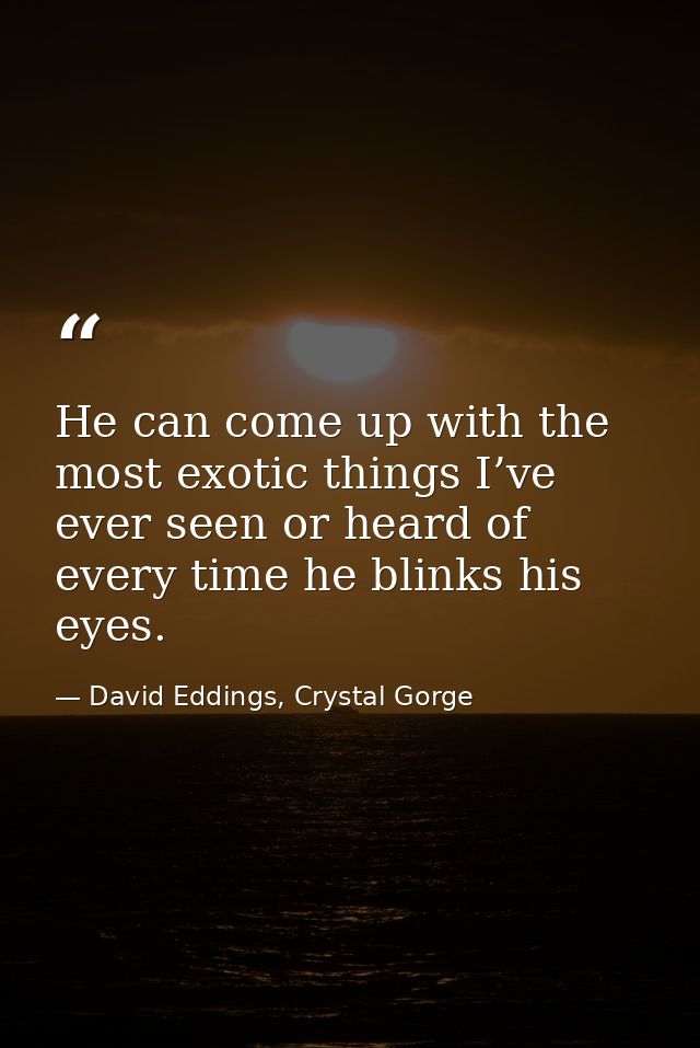 He can come up with the most exotic things I’ve ever seen or heard of every time he blinks his eyes. — David Eddings, Crystal Gorge