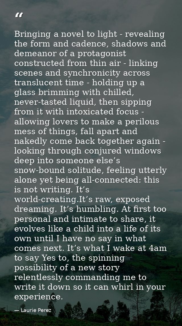 Bringing a novel to light - revealing the form and cadence, shadows and demeanor of a protagonist constructed from thin  — Laurie Perez