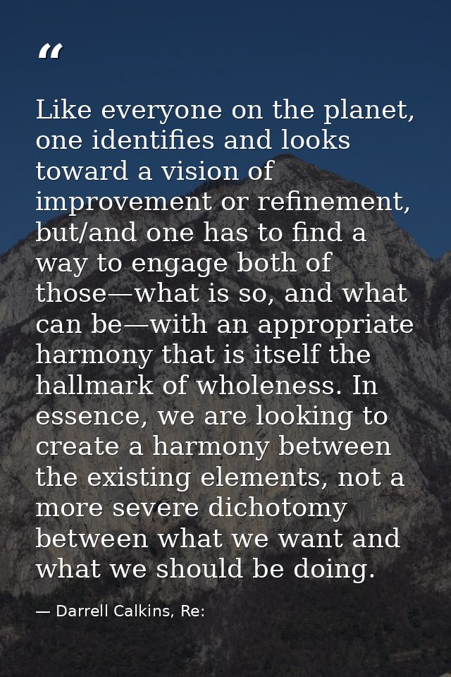 Like everyone on the planet, one identifies and looks toward a vision of improvement or refinement, but/and one has to f — Darrell Calkins, Re: