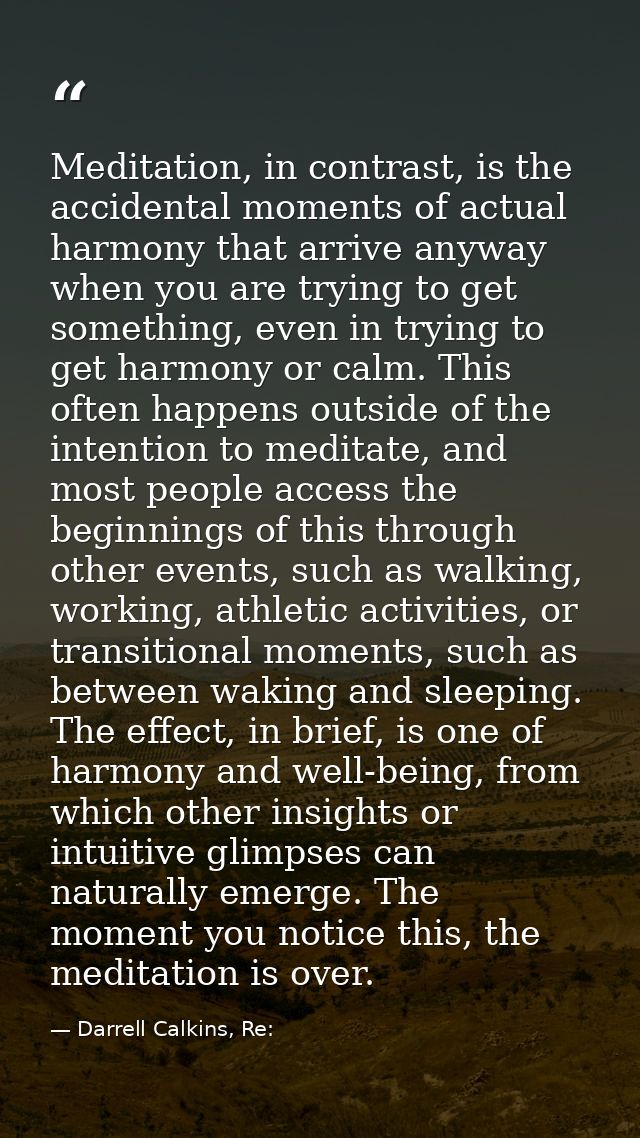 Meditation, in contrast, is the accidental moments of actual harmony that arrive anyway when you are trying to get somet — Darrell Calkins, Re: