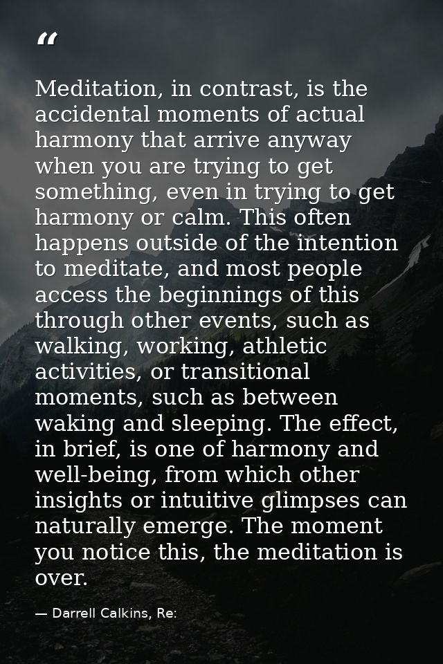 Meditation, in contrast, is the accidental moments of actual harmony that arrive anyway when you are trying to get somet — Darrell Calkins, Re: