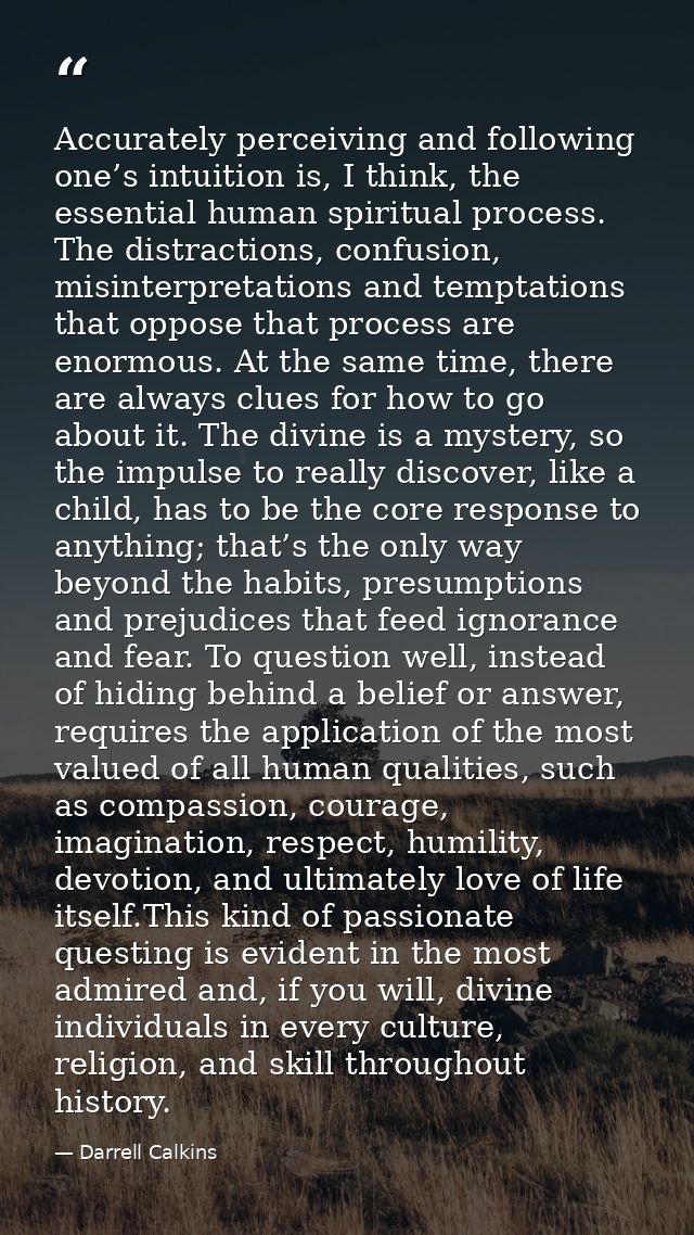 Accurately perceiving and following one’s intuition is, I think, the essential human spiritual process. The distractions — Darrell Calkins