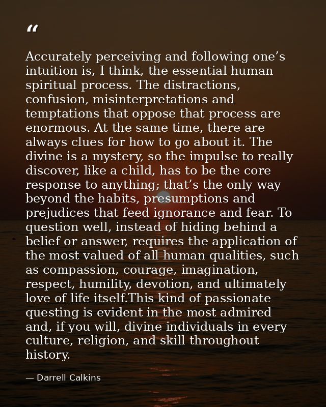 Accurately perceiving and following one’s intuition is, I think, the essential human spiritual process. The distractions — Darrell Calkins