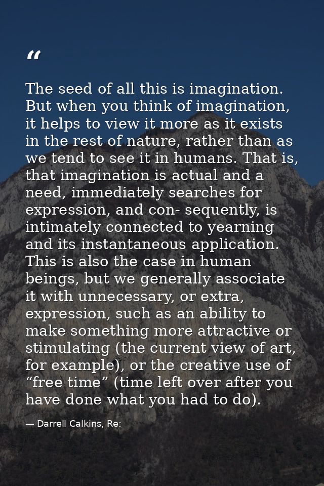 The seed of all this is imagination. But when you think of imagination, it helps to view it more as it exists in the res — Darrell Calkins, Re:
