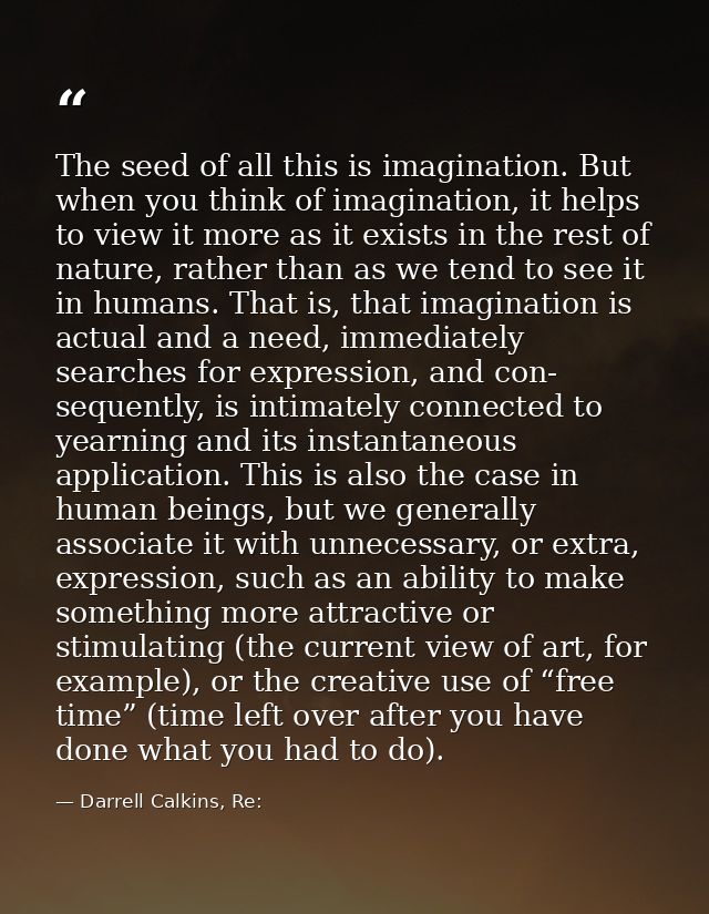 The seed of all this is imagination. But when you think of imagination, it helps to view it more as it exists in the res — Darrell Calkins, Re: