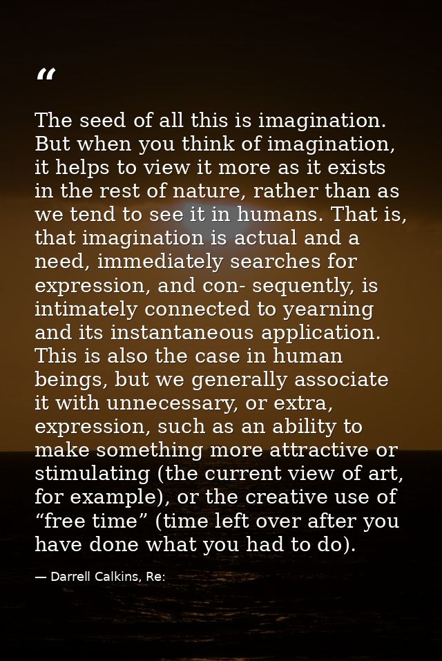 The seed of all this is imagination. But when you think of imagination, it helps to view it more as it exists in the res — Darrell Calkins, Re: