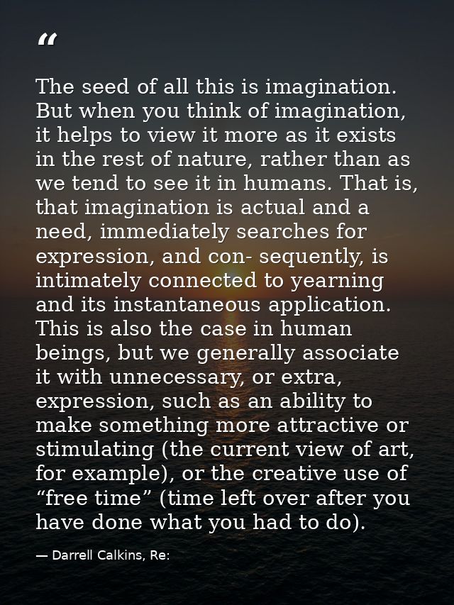 The seed of all this is imagination. But when you think of imagination, it helps to view it more as it exists in the res — Darrell Calkins, Re: