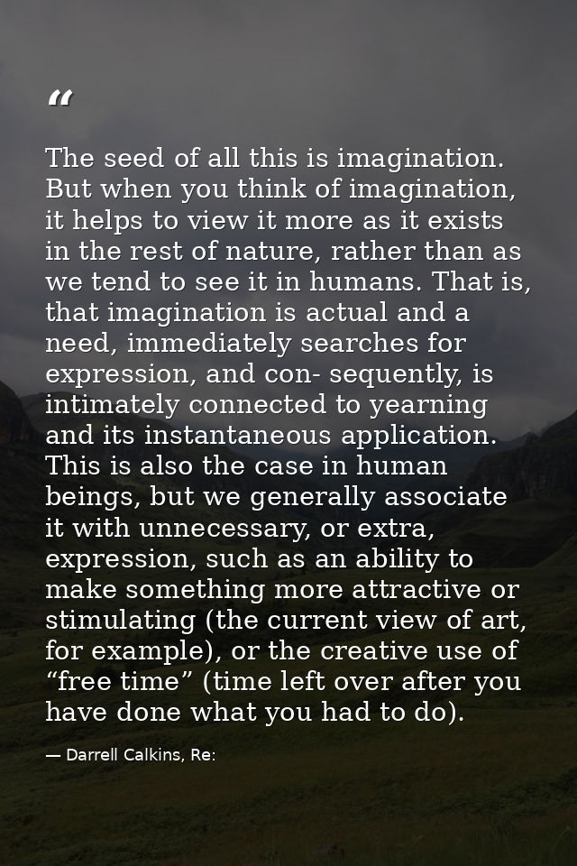 The seed of all this is imagination. But when you think of imagination, it helps to view it more as it exists in the res — Darrell Calkins, Re: